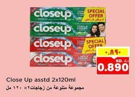 Close Up assorted toothpaste 2x120ml