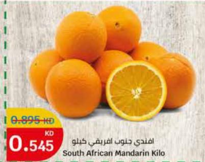 South African Mandarin Kilo