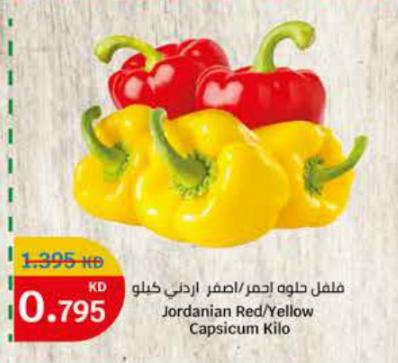 Jordanian Red/Yellow Capsicum Kilo