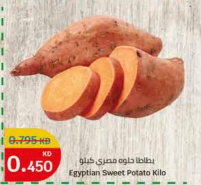 Egyptian Sweet Potato Kilo