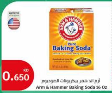 Arm & Hammer Pure Baking Soda 16 oz