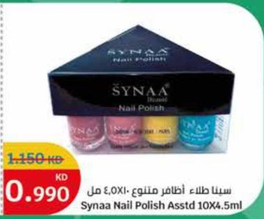 Synaa Nail Polish Assorted 10x4.5ml