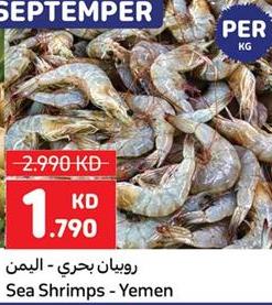 Sea Shrimps - Yemen Per kg 