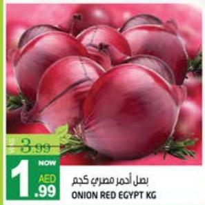 Red Onion Egypt KG