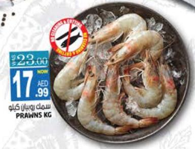 Prawns KG