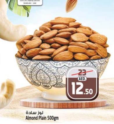 Almond Plain 500gm