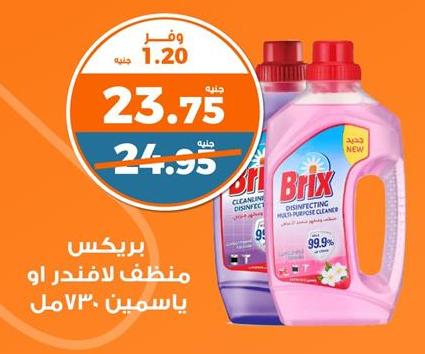 Brix Disinfecting Multi-Purpose Cleaner