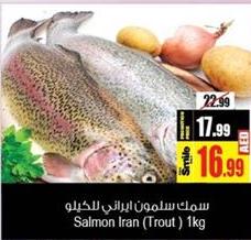 Salmon Iran (Trout) 1kg