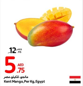 Kent Mango, Per Kg, Egypt 