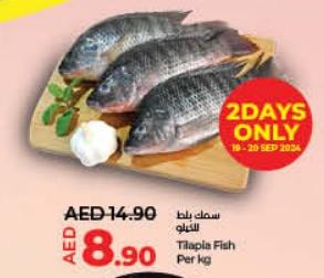 Tilapia Fish per kg