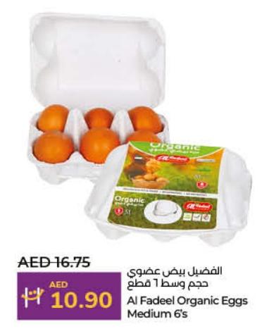 Al Fadeel Organic Eggs Medium 6's