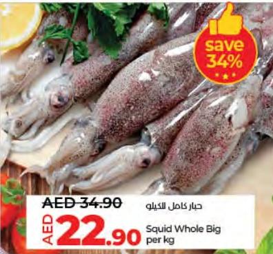 Squid Whole Big per kg