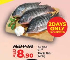 Tilapia Fish per kg