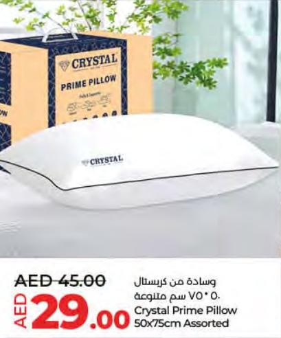 Crystal Prime Pillow 50x75cm Assorted