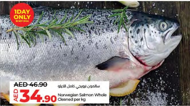 Norwegian Salmon Whole Cleaned per kg