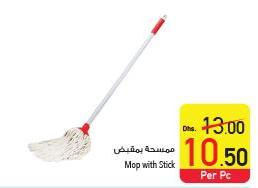 Mop with Stick