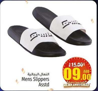 Mens Slippers Assorted 