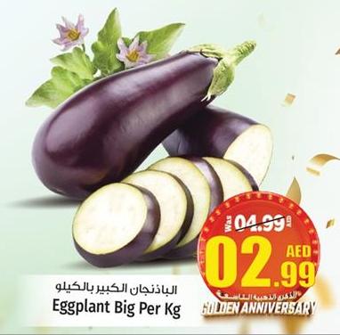 Eggplant Big Per Kg