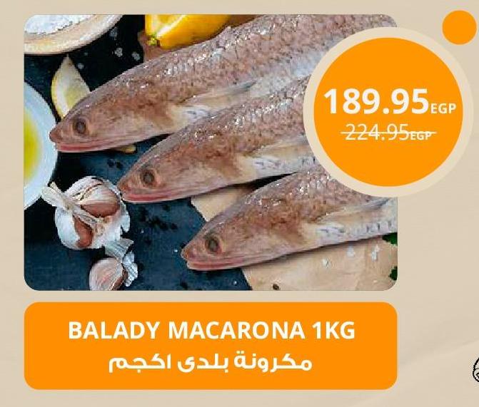 Balady Macarona 1 Kg