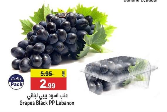 Grapes Black PP Lebanon