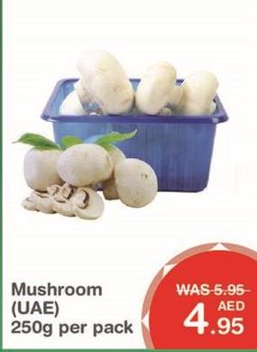 Mushroom (UAE)