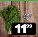 SPINACH BUNCH each 