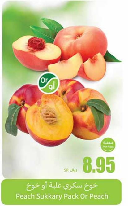 Peach Sukkary Pack Or Peach