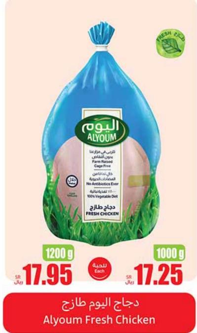 Alyoum Fresh Chicken 1200gm