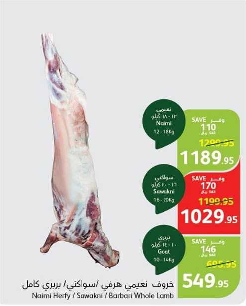 Naimi Herfy / Sawakni / Barbari Whole Lamb 12-18 kg