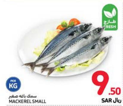 Small Mackerel KG 