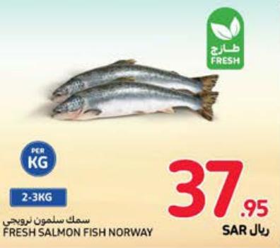 Fresh Salmon Fish Norway 1 kg