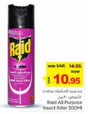 Raid All Purpose Insect Killer 300ml