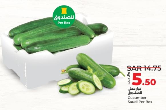 Cucumber Saudi Per Box