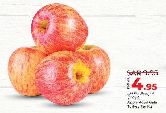 Apple Royal Gala Turkey Per Kg