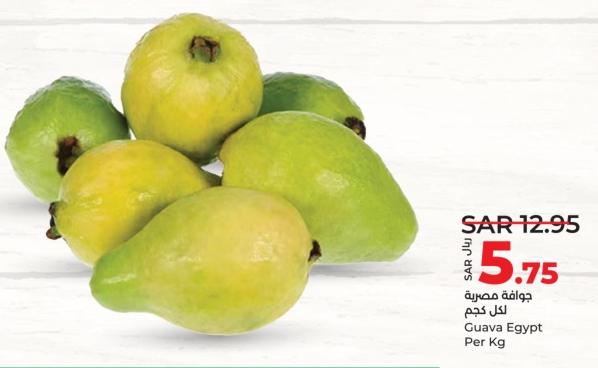 Guava Egypt Per Kg