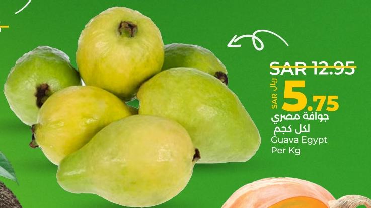 Guava Egypt PER KG