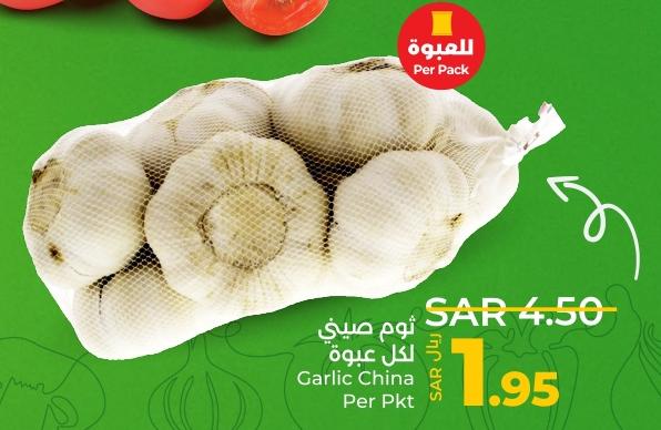 Garlic China Per Pkt