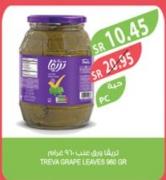 Treva Grape Leaves 