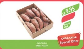 SWEET POTATO PER PACK