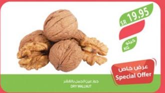 Dry Walnut kg