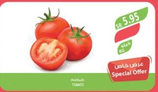 Tomatoes 1 kg