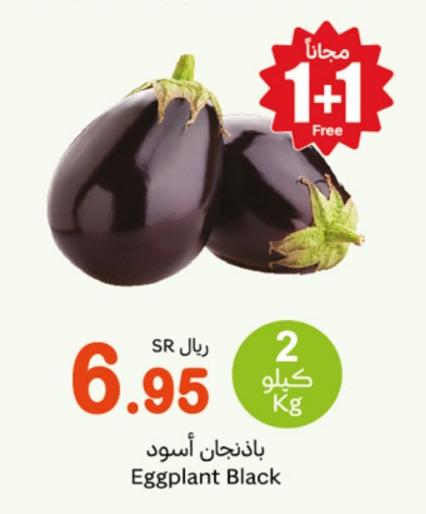 Eggplant Black 2kg