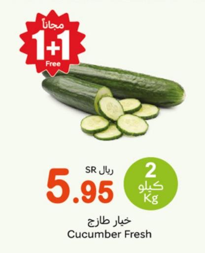 Fresh Cucumber 2kg