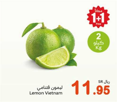 Lemon Vietnam 2kg