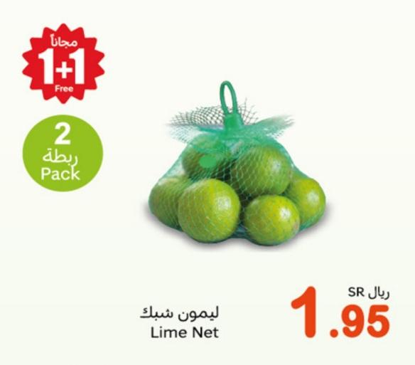 Lime Net 2 pack