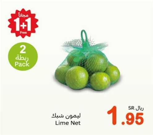 Lime Net 2 pack