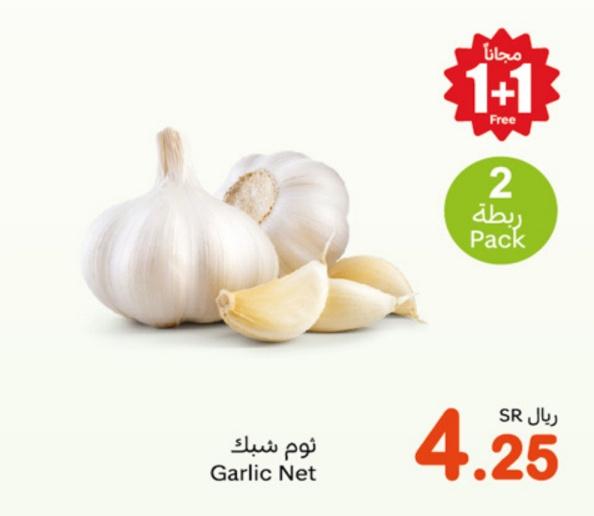 Garlic Net 2 pack