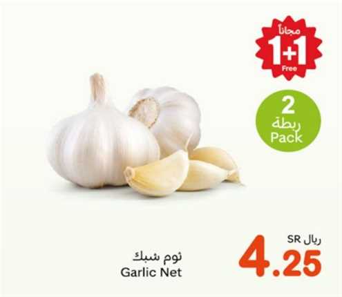 Garlic Net 2 pack