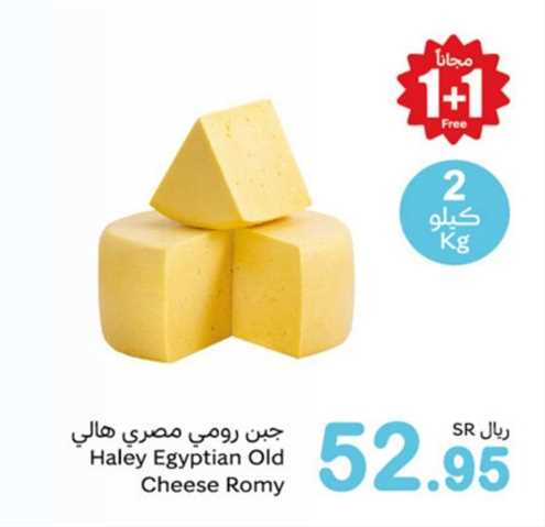 Haley Egyptian Old Cheese Romy 2kg