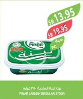 Pinar Labneh Regular 370g